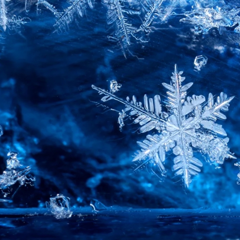 UPDATE: TEXAS IS FROZEN